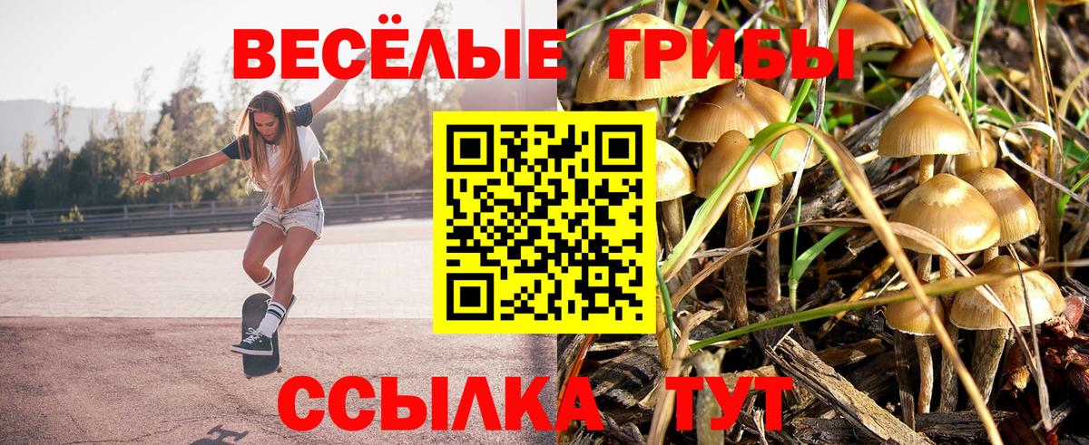 Галлюциногенные грибы Cubensis Сосновоборск
